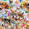 Bluebird Puzzle Dieren|100-499<Collage van dieren selfies - puzzel van 260 stukjes