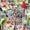 Bluebird Puzzle Dieren|1500-1999<Katten - puzzel van 1500 stukjes