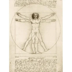 Bluebird Puzzle Tekening|Kunst En Cultuur<Leonardo Da Vinci - The Vitruvian Man, 1490 - 1000 stukjes