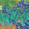 Bluebird Puzzle Kunst En Cultuur|2000 En Meer<Vincent Van Gogh - Irissen - puzzel van 3000 stukjes