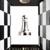 Cast Puzzle Breinbrekers<Pion Zilver- Schaakstuk - breinbreker