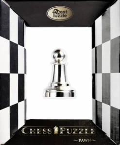 Cast Puzzle Breinbrekers<Pion Zilver- Schaakstuk - breinbreker