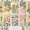 Cobble Hill Stilleven|Kunst En Cultuur<Botanische kruiden door Verneuil - puzzel van 1000 stukjes
