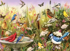 Cobble Hill Dieren|1000-1499<Gevleugelde vrienden - puzzel van 1000 stukjes