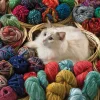 Cobble Hill Dieren|1000-1499<Poes in de wol - 1000 stukjes