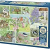 Cobble Hill Tekening|Dieren<Tuinvogels in de Lente - puzzel van 500 XL stukjes