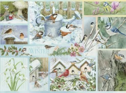 Cobble Hill Tekening|Dieren<Tuinvogels in de Winter - puzzel van 500 XL stukjes