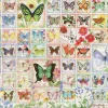 Cobble Hill Dieren|2000 En Meer<Vlinders en Bloesems - puzzel van 2000 stukjes