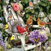Cobble Hill Dieren|1000-1499<Vogels in de zomer - 1000 stukjes