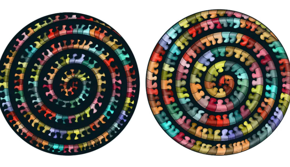 Curiosi Dubbelzijdige Puzzel|Speciale Vorm<Millepedes - Dubbelzijdige Ronde puzzel in hout - 324 stukjes
