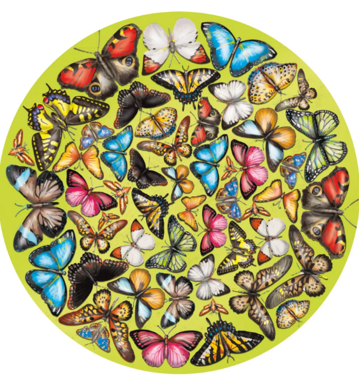 Curiosi Dubbelzijdige Puzzel|Speciale Vorm<Papillon - Dubbelzijdige Ronde puzzel in hout - 424 stukjes