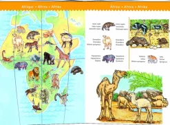 Kinderen Djeco Puzzel + Extra Item|Dieren<De dierenwereld - puzzel van 100 stukjes