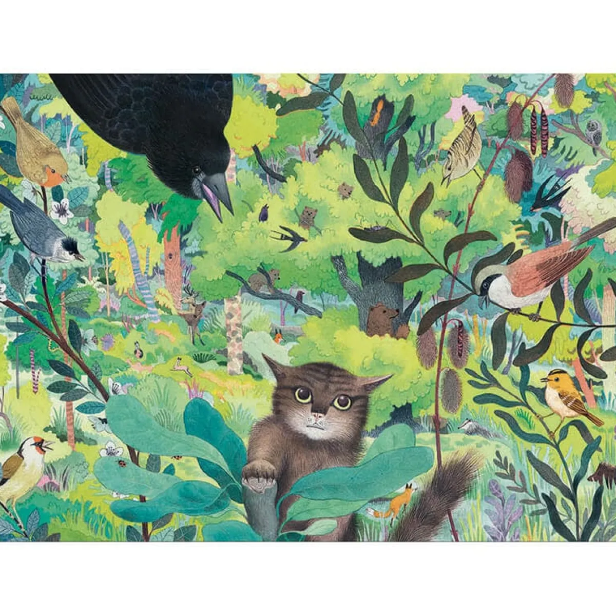 Kinderen Djeco Panorama|Dieren<Uilen en Vogels - puzzel van 1000 stukjes - Panorama