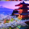 Educa Kunst En Cultuur|Landschappen<De Fuji vulkaan in Japan - puzzel 2000 stukjes