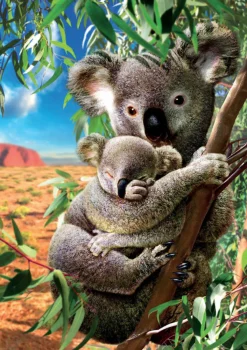 Kinderen Educa Dieren|Legpuzzels<De Koala en zijn kleintje - legpuzzel van 500 stukjes