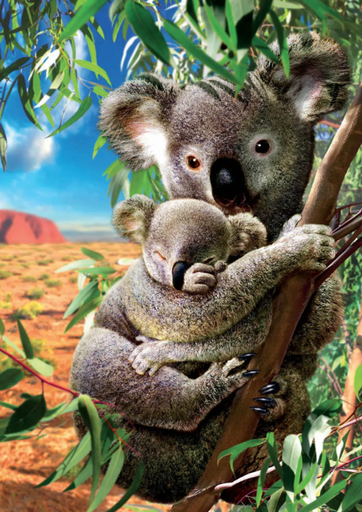 Kinderen Educa Dieren|Legpuzzels<De Koala en zijn kleintje - legpuzzel van 500 stukjes