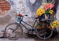 Kinderen Educa Stilleven|Legpuzzels<Fiets met bloemen - legpuzzel van 500 stukjes