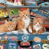 Kinderen Educa Dieren|Legpuzzels<Katjes op reis - puzzel van 200 stukjes