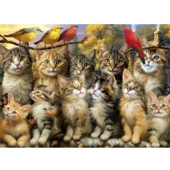 Kinderen Educa Dieren|Legpuzzels<Katten en Vogels - legpuzzel van 500 stukjes