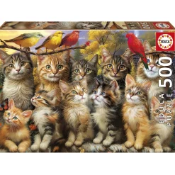 Kinderen Educa Dieren|Legpuzzels<Katten en Vogels - legpuzzel van 500 stukjes