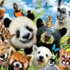 Educa Dieren|1000-1499<Llama Drama Selfie - legpuzzel van 1000 stukje