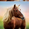 Kinderen Educa Dieren|Legpuzzels<Paard bij zonsopgang - legpuzzel van 500 stukjes