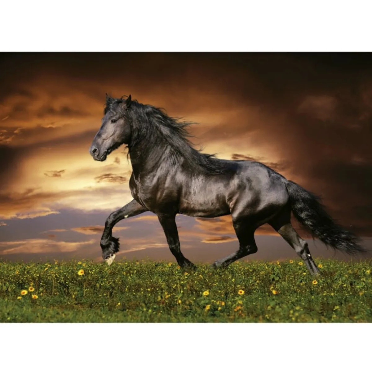 Educa Dieren|1000-1499<Paard in Draf - puzzel 1000 stukjes