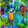 Educa Fantasy|Dieren<Papegaaien in de tropen - puzzel van 500 stukjes
