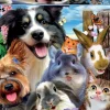 Kinderen Educa Tekening|Dieren<Selfie in de tuin - legpuzzel van 500 stukjes