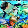 Kinderen Educa Dieren|Legpuzzels<Selfie onder water - legpuzzel van 500 stukjes
