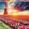 Educa Landschappen|Steden En Gebouwen<Tulpenlandschap- legpuzzel van 1500 stukjes