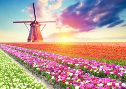 Educa Landschappen|Steden En Gebouwen<Tulpenlandschap- legpuzzel van 1500 stukjes