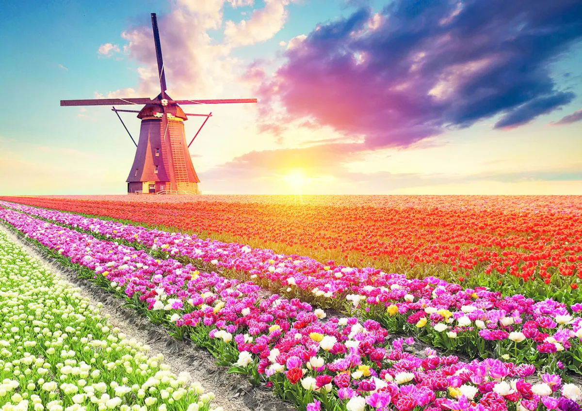 Educa Landschappen|Steden En Gebouwen<Tulpenlandschap- legpuzzel van 1500 stukjes