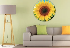 Kinderen Educa Legpuzzels|500-999<Zonnebloem - Cirkelvormige puzzel - 800 stukjes