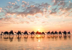 Educa Dieren|Landschappen<Zonsondergang in Australië - puzzel 1000 stukjes