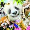 Kinderen Educa Dieren|Legpuzzels<Zwart-oog vrienden selfie - puzzel van 300 stukjes