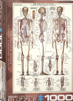 Eurographics Puzzles Kunst En Cultuur|1000-1499<Het skeletsysteem - puzzel van 1000 stukjes