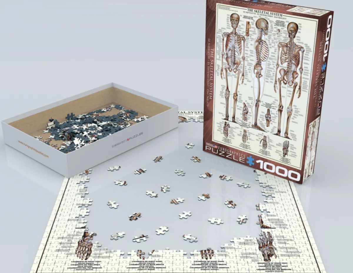 Eurographics Puzzles Kunst En Cultuur|1000-1499<Het skeletsysteem - puzzel van 1000 stukjes