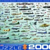 Eurographics Puzzles Kunst En Cultuur|2000 En Meer<Militaire Luchtvaart - Collage - puzzel van 2000 stukjes