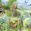 HOP Tekening|100-499<Nature Study - 250 XL stukjes