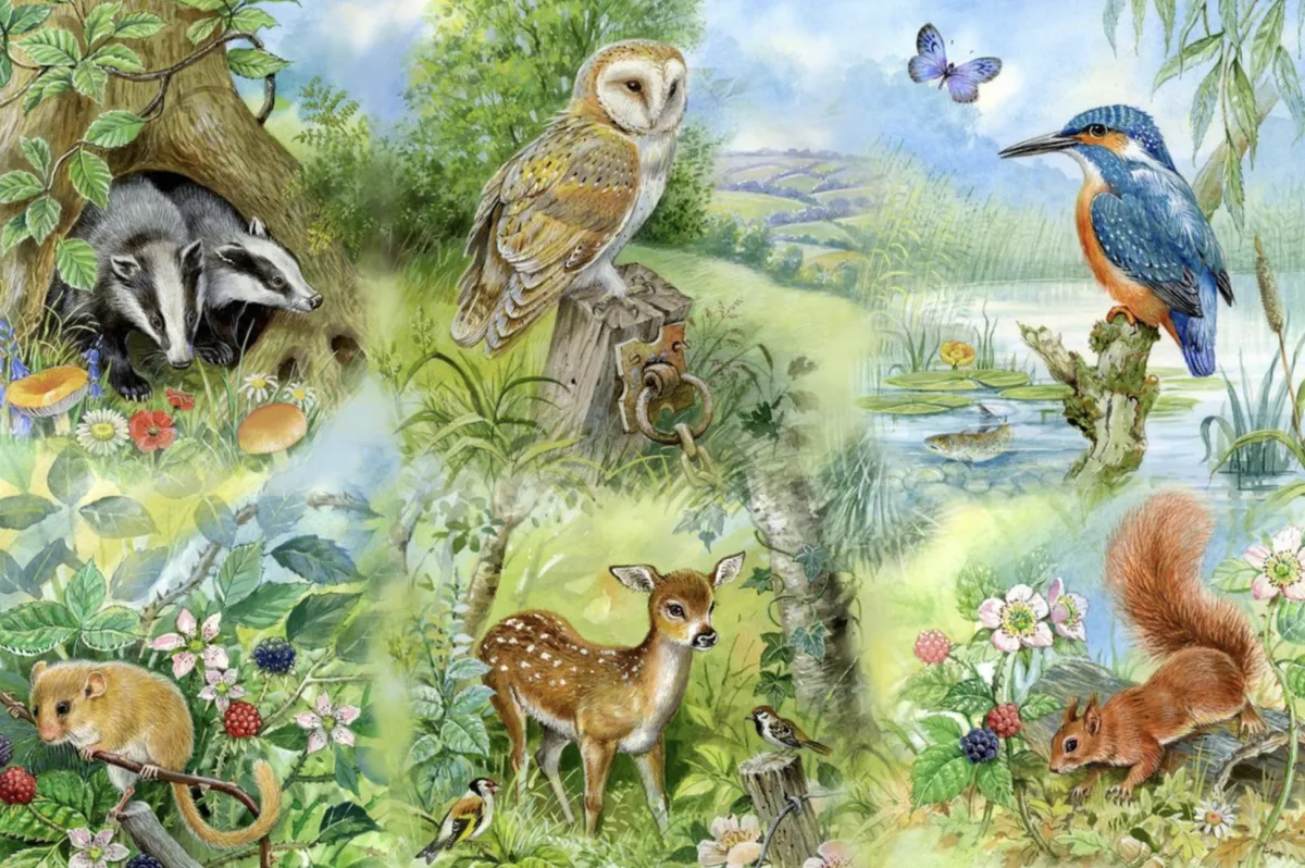 HOP Tekening|100-499<Nature Study - 250 XL stukjes