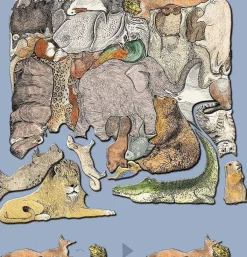 Kinderen MeterMorphosen Speciale Vorm|Tekening<Dierenpuzzel - Een beeld uit 33 dieren - F.K. Waechter - 33 stukjes