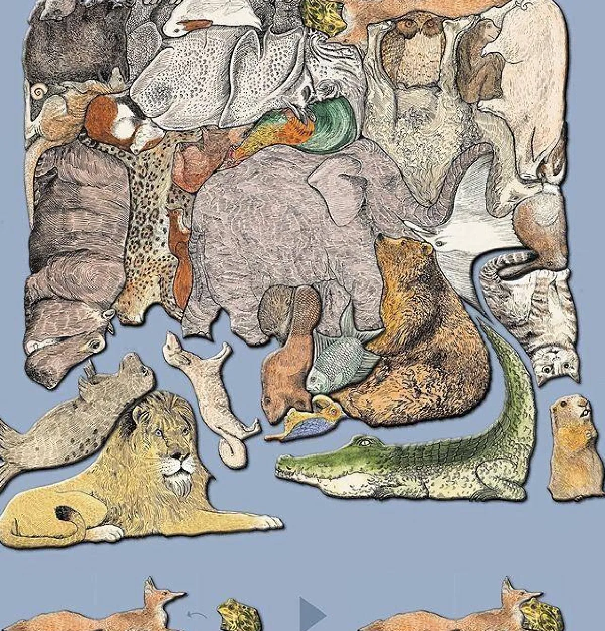 Kinderen MeterMorphosen Speciale Vorm|Tekening<Dierenpuzzel - Een beeld uit 33 dieren - F.K. Waechter - 33 stukjes