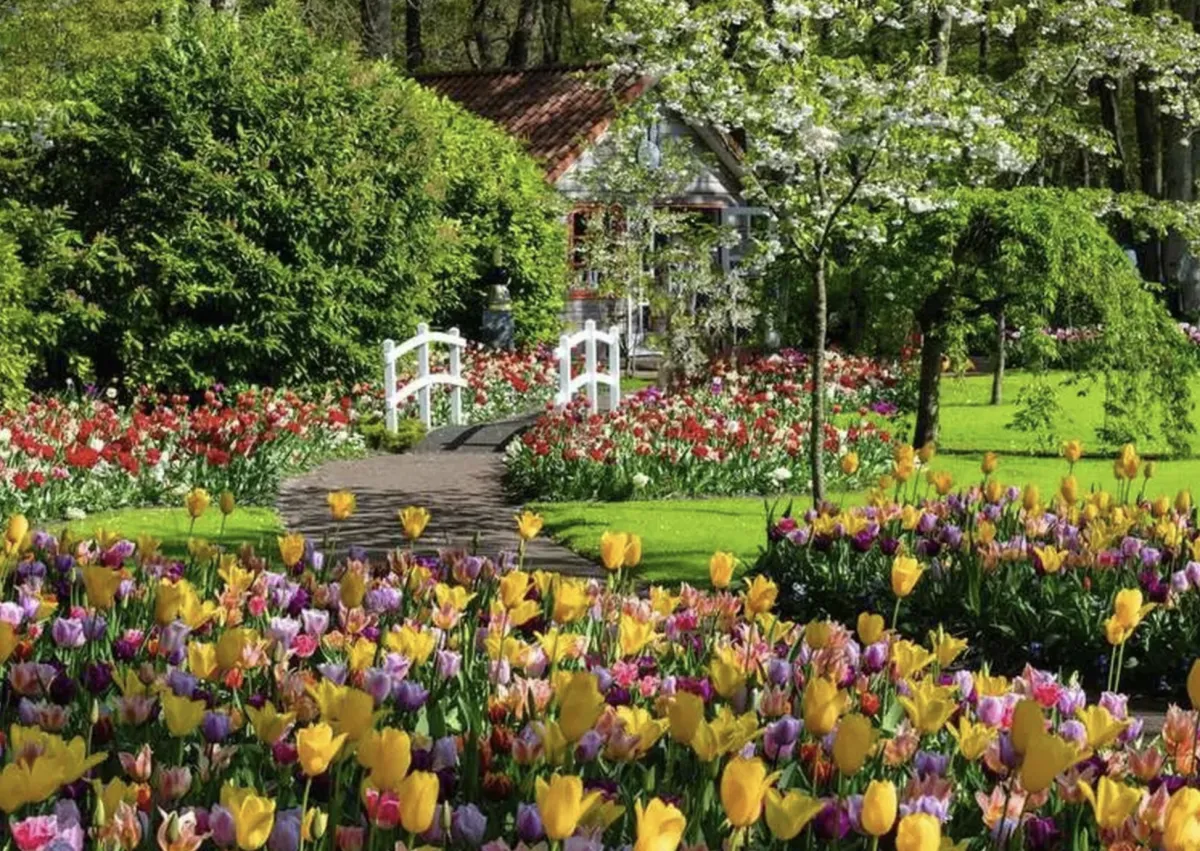 Ravensburger Landschappen|1000-1499<Bloemenpark Keukenhof - puzzel van 1000 stukjes