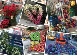 Ravensburger Steden En Gebouwen|1000-1499<Bloemenpracht in New York - puzzel van 1000 stukjes