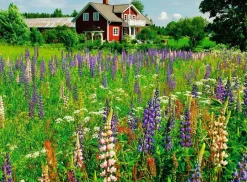Kinderen Ravensburger Landschappen|Steden En Gebouwen<Boerderij in Zweden - puzzel van 500 stukjes