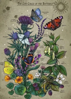 Ravensburger Dieren|1000-1499<De Vlinder - puzzel van 1000 stukjes