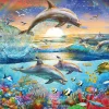 Kinderen Ravensburger Legpuzzels|100-499<Dolfijnenparadijs - 300 stukjes