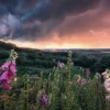 Ravensburger 1000-1499<Dreamy Thunder - puzzel van 1000 stukjes