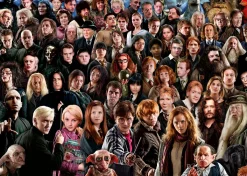 Ravensburger Disney, Pixar, Marvel|1000-1499<Harry Potter - Challenge - puzzel van 1000 stukjes